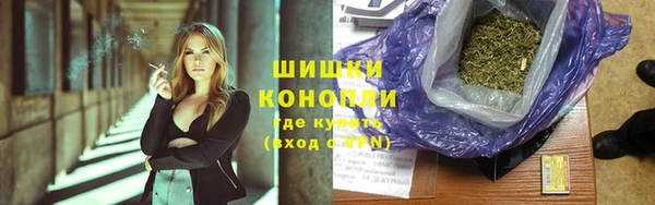 амф Верея